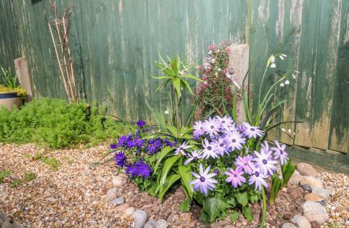 Rustington House | Pebble Place