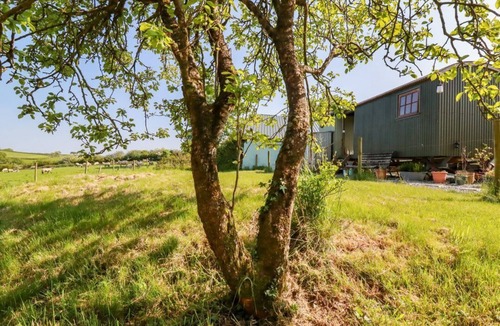 Brazzacott House | Puddle Duck Shepherds Hut, Crackington Haven