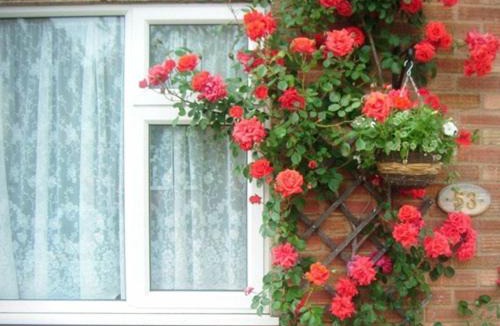 Arbury Bed & Breakfast | Rosa's Bed and Breakfast