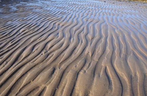 Lower Largo Bed & Breakfast | Seascape Largo