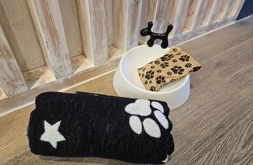 Burnham-on-Sea Apartment | Seashell luxury apartment