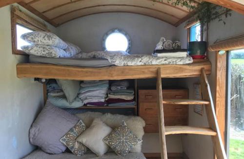 Ashburton House | Secluded Shepherds Hut, with a view and hot tub