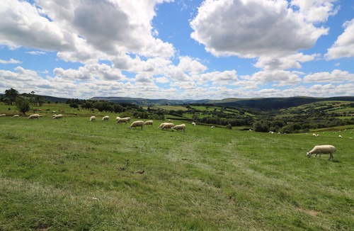 Rhayader Cottage | Shepherd's View