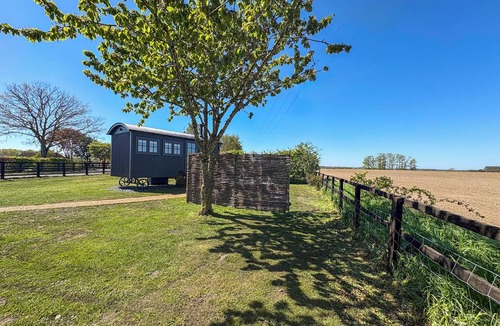 Tilney Fen End Cottage | Shepherds Hut - UK49729