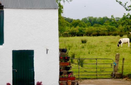 Maghera House | Slemish View
