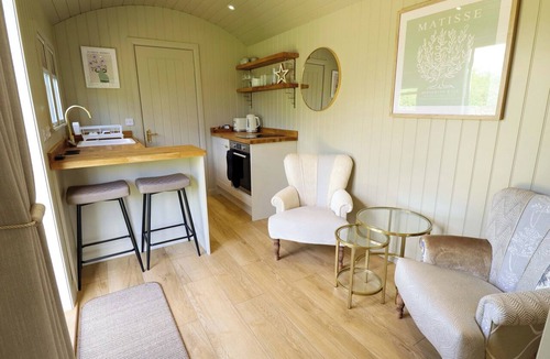 Ashby cum Fenby Cottage | Snowdrop