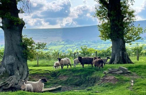 Longtown House | Spacious Cottage - Sleeps 4 - in the Black Mountains