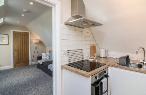 Newton Saint Cyres Apartment | Spicery Barn Loft in Devon. TV