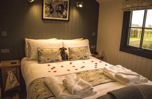 Storwood House | Springwood Shepherd Huts Glamping York