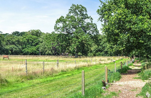 Irstead Cottage | Stylish with complete tranquillity, the perfect place to relax and unwind.