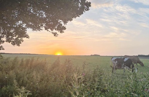 Cowes House | Sunnycott Caravan Park