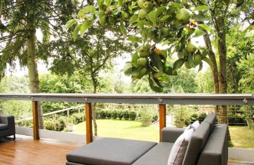 Aymestrey House | Sunnyside