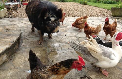 Wyke Regis Bed & Breakfast | Swallows Rest