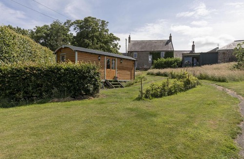 Bowsden House | Teasel Shepherd's Hut