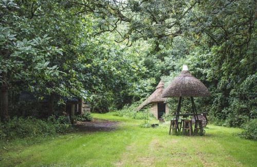 Ash Other | Thatched Roundhouse in Somerset Woodland