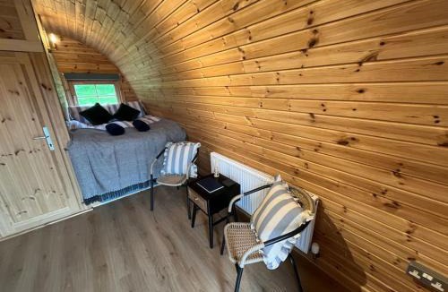Newcastle-on-Clun Ski Chalet | The Pod Patch - Bryn Pod