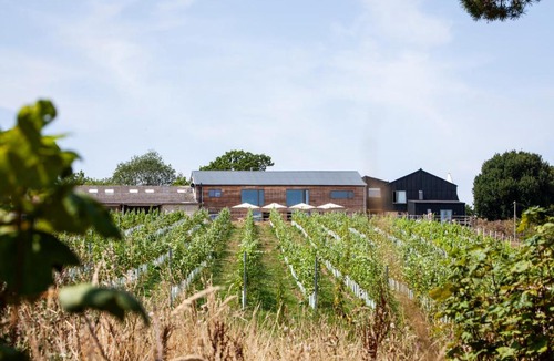 Rye Hotel | Tillingham Winery