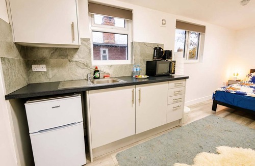 Roath Apartment | Trendy Roath Studio