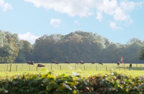Wittersham House | Tufton Croft