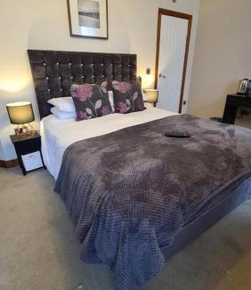 Rhayader House | Ty Morgan's