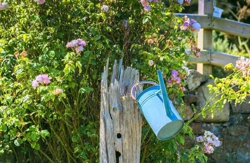 Elim Bed & Breakfast | Tyn Llain B&B