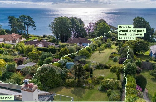 Teignmouth House | Umbrella Pines