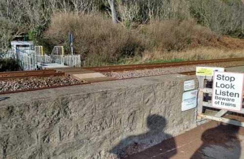 Teignmouth House | Umbrella Pines