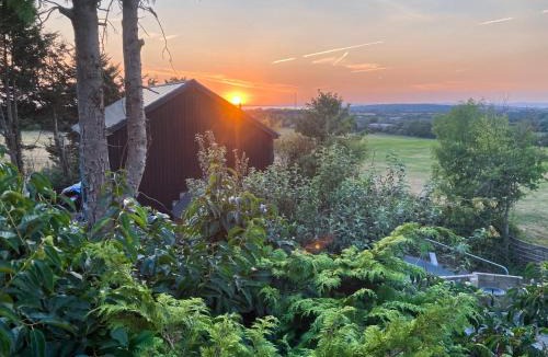 Weston-super-Mare House | Willow House