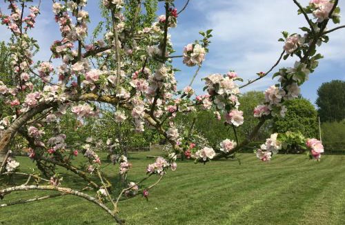 Beckford House | Windfall Cottage
