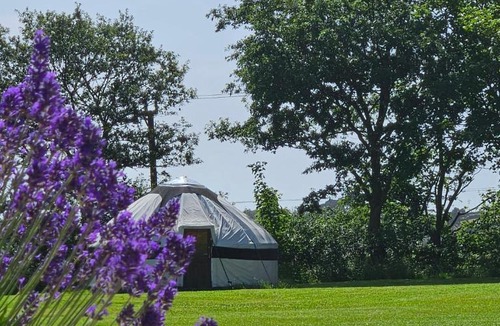 St. Tudy House | Yurt Sleeps 2 - Bbq & Fire Pit - Dogs Welcome