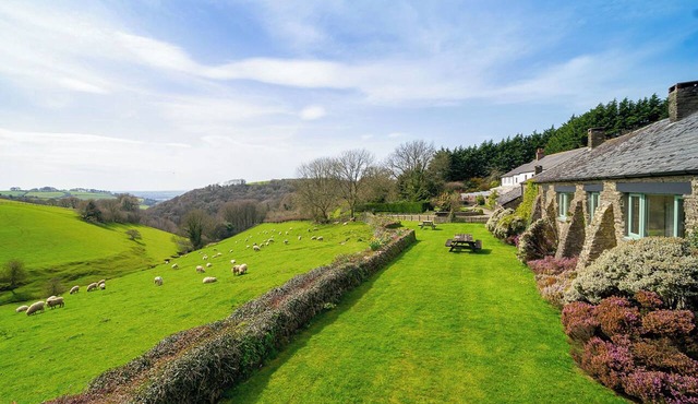 1 bedroom accommodation in Barnstaple