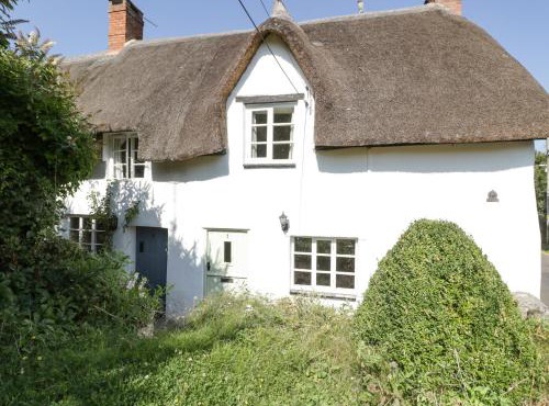 1 Old Thatch in Bridgwater
