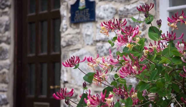 17th Century Cliffe Cottage in a spectacular location