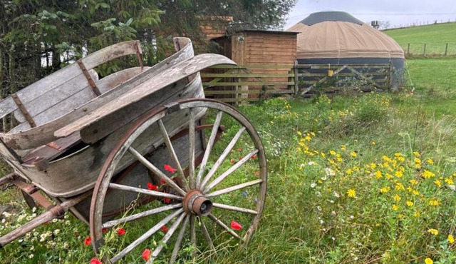 Bracken Barns Glamping & Massage