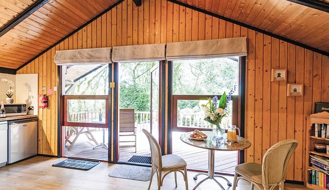 Charming, spacious and comfortable open plan lodge with log burner. in Harrogate
