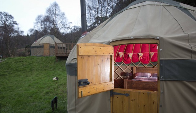 Charming Yurt in Kelburn Estate near Largs