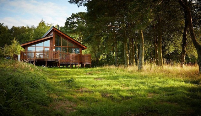 Cropton Silver Birch Accessible Cabin, Pickering