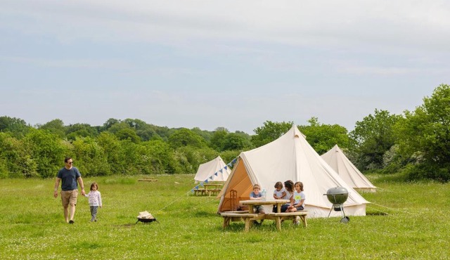 Daisy at Blancas Bell Tents in Ringstead