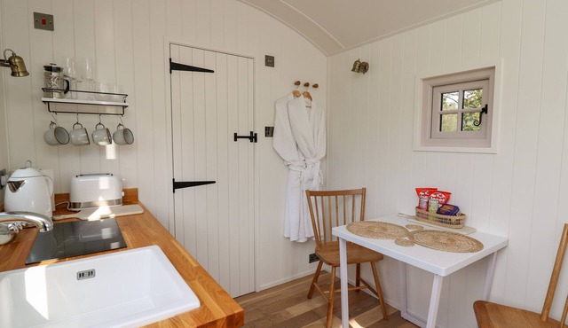 Dragonfly Shepherd's Hut in Llanarth