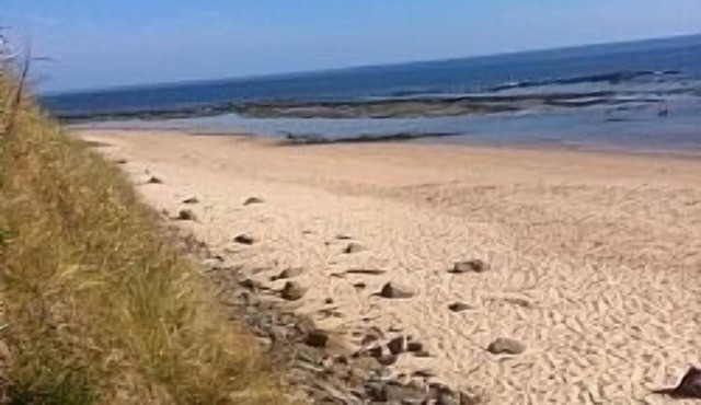 Fantastic Family House With Unrivalled Views Of Bamburgh Castle And Holy Island