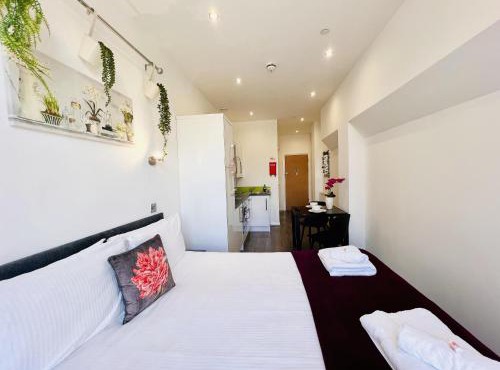 Fox House, Studio Apartments