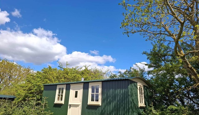 Hilltop Shepherds hut, hot tub & views of vineyard