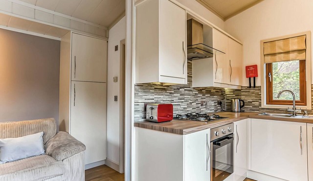 Large modern studio lodge with one double. in Mold