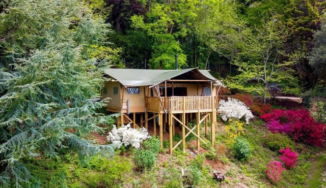 Lower Coombe Royal- Cedar Lodge with Hot Tub