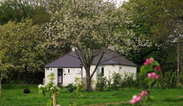Magnolia Cottage - Kent
