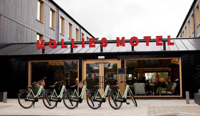 Mollie's Bristol in Bristol