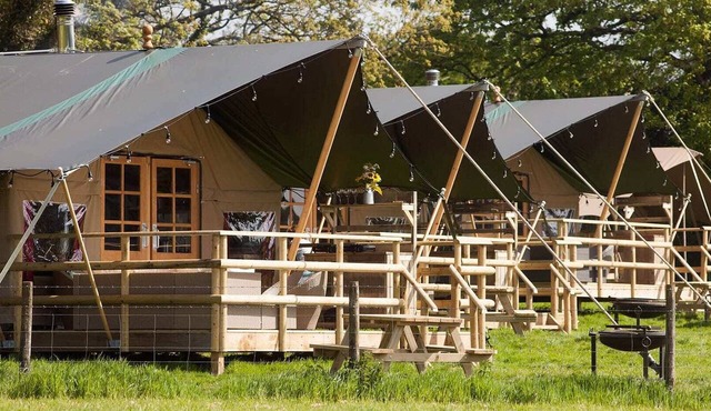 Primrose Farm Holidays