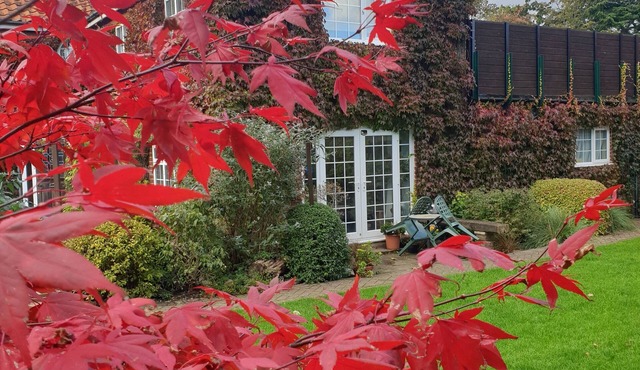 Private entrance, parking, peace and quiet within walking distance of the city