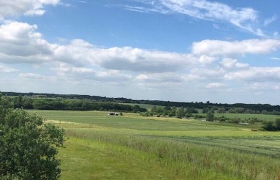 Rockinghams Farm in Layer Marney