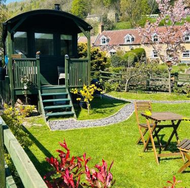 Shepherds hut, Eco, Log burner Hot tub NY moors
